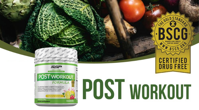 SSP NUTRITION POST Workout Formula (VIP Item)