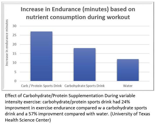 THE SYSTEM™ by SSP Nutrition