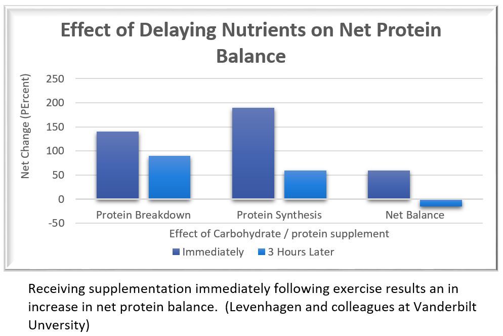 THE SYSTEM™ by SSP Nutrition